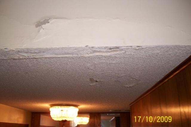 Meridian Home Inspection water damage