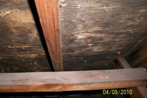 Idaho Home Inspection Moisture Damage