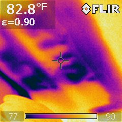 Minneapolis home inspector thermal image