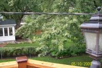 Home inspection photo electrical line